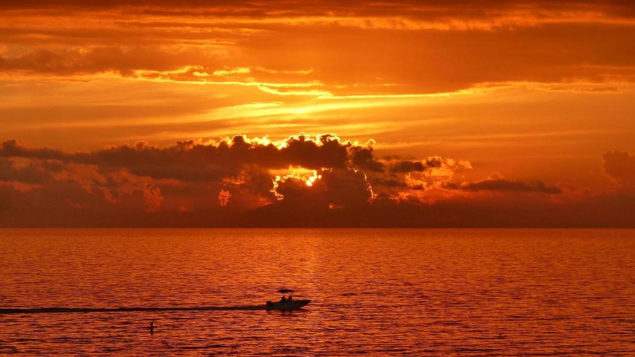 Arie Dam 202 Villa St. Pete Beach Bagian luar foto